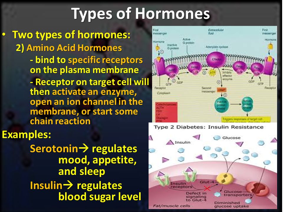 Types of Hormones Two types of hormones: Examples.