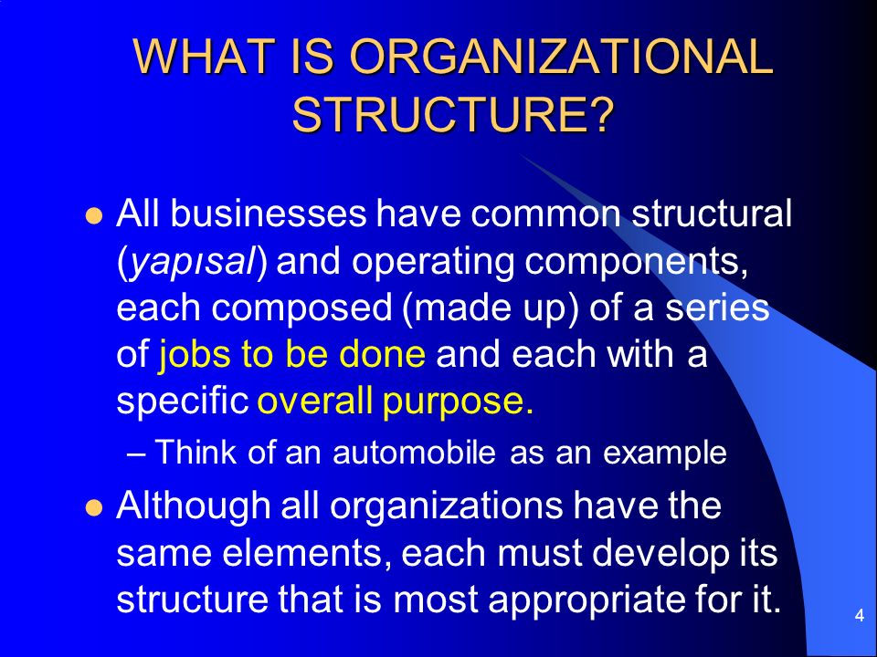ORGANIZING THE BUSINESS ENTERPRISE - ppt download