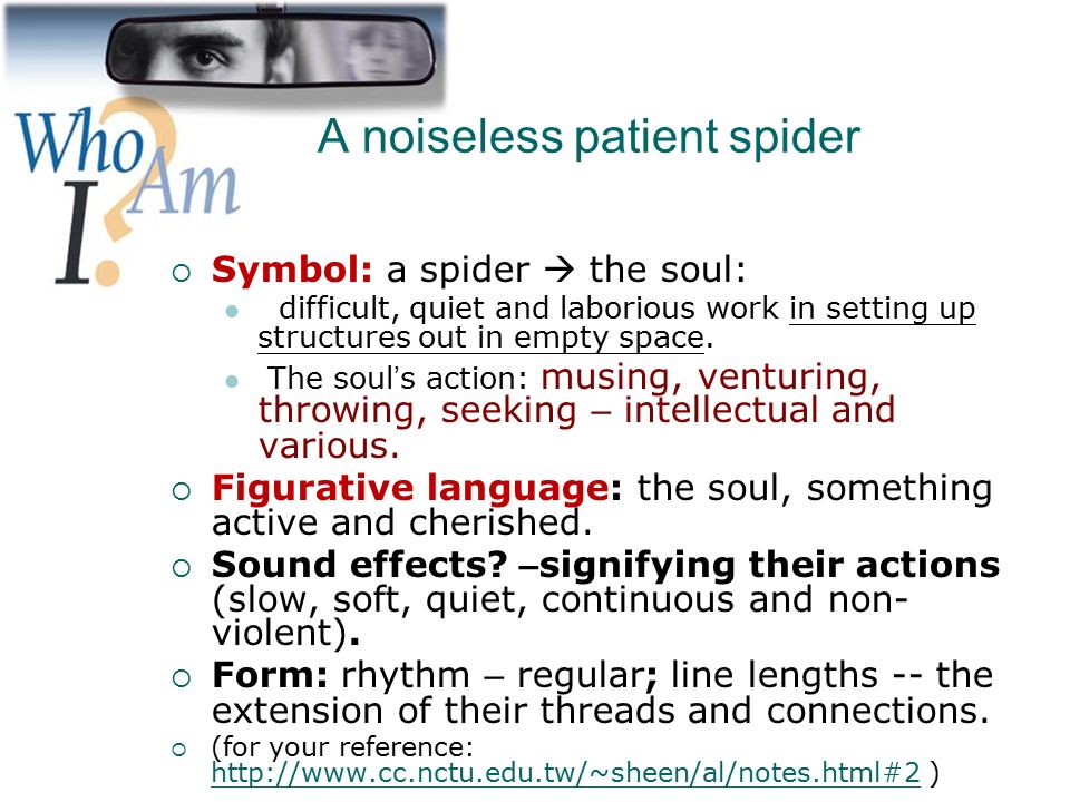 A noiseless patient spider