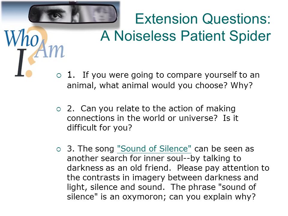 Extension Questions: A Noiseless Patient Spider