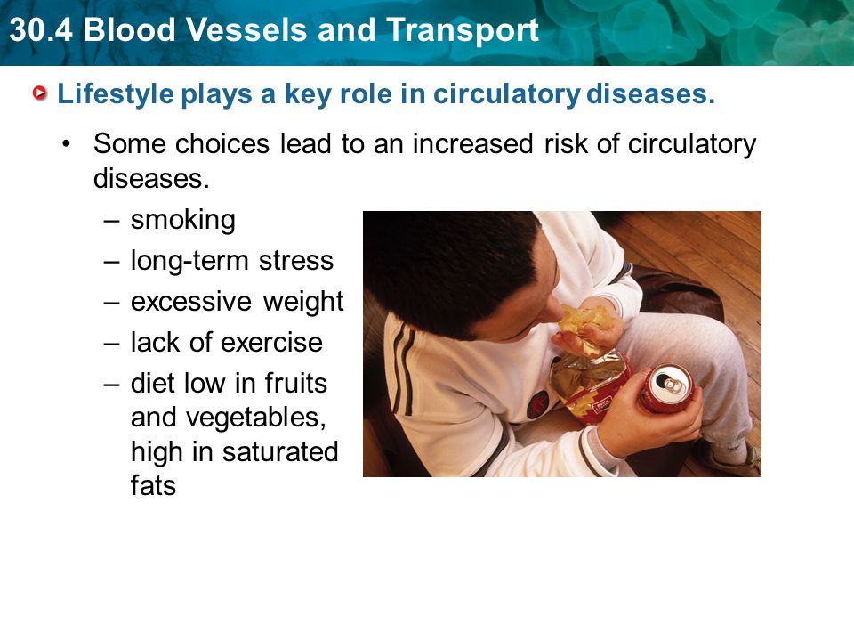 Lifestyle plays a key role in circulatory diseases.