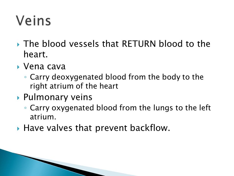 Veins The blood vessels that RETURN blood to the heart. Vena cava