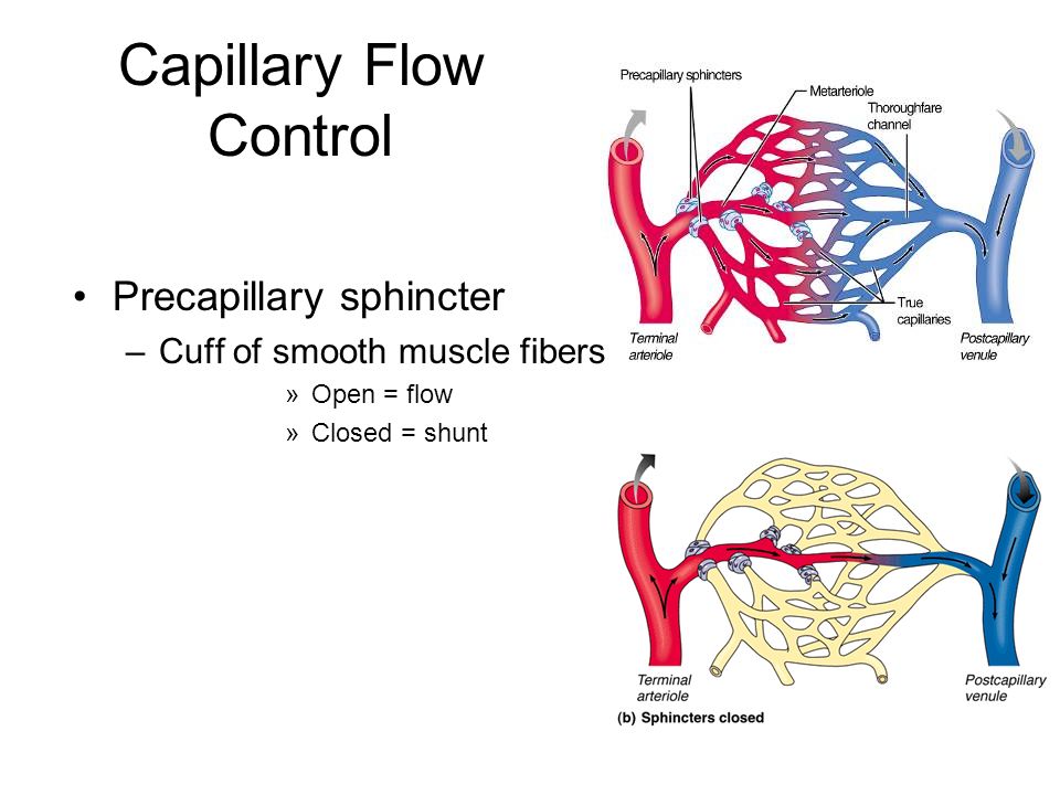Capillary Flow Control