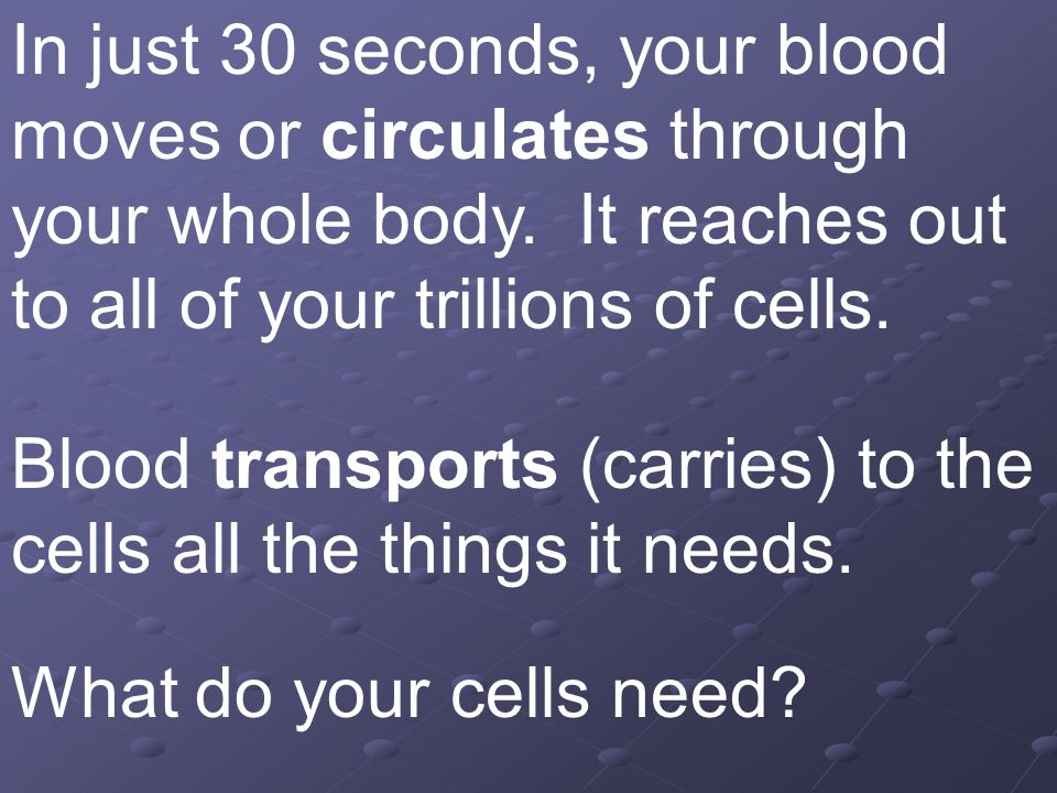 In just 30 seconds, your blood moves or circulates through your whole body. It reaches out to all of your trillions of cells.