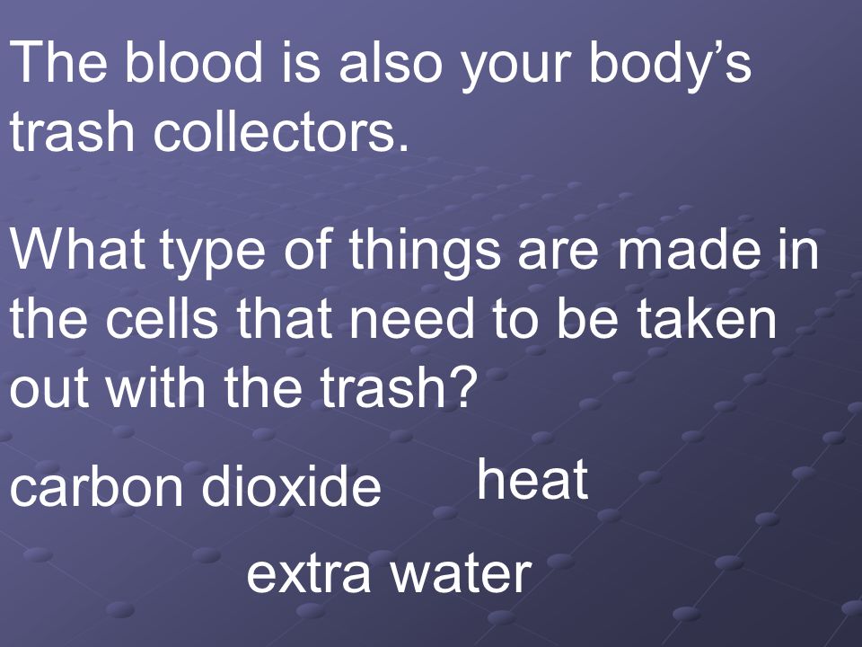 The blood is also your body’s trash collectors.
