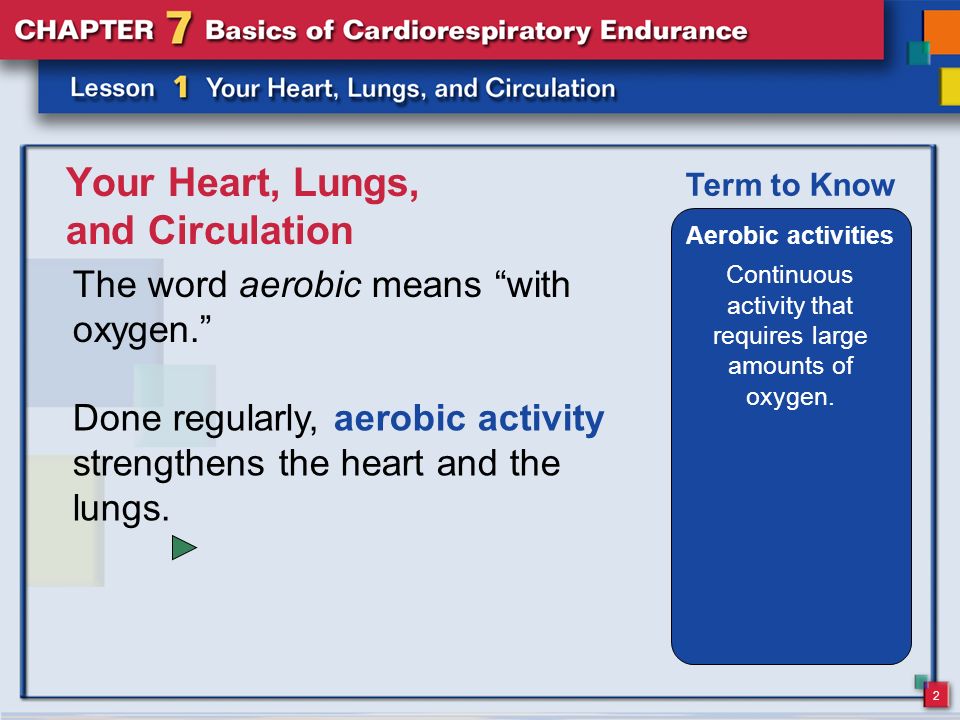 Your Heart, Lungs, and Circulation