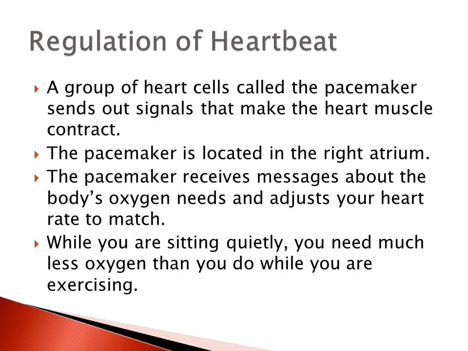 Regulation of Heartbeat