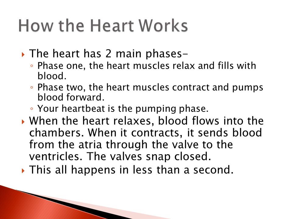 How the Heart Works The heart has 2 main phases-