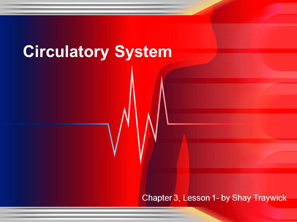 Circulatory System Chapter 3, Lesson 1- by Shay Traywick
