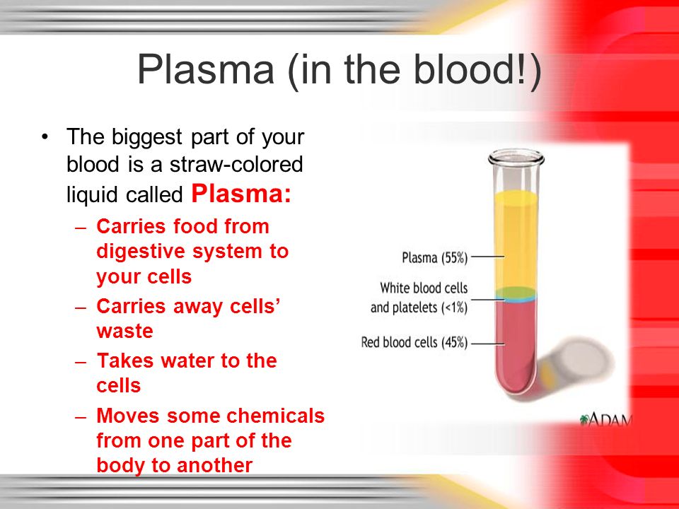 Plasma (in the blood!) The biggest part of your blood is a straw-colored liquid called Plasma: Carries food from digestive system to your cells.
