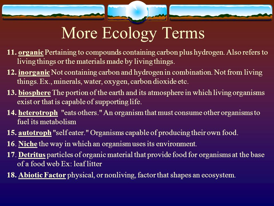 Ecological terms. The decomposers presentation. Decomposer.