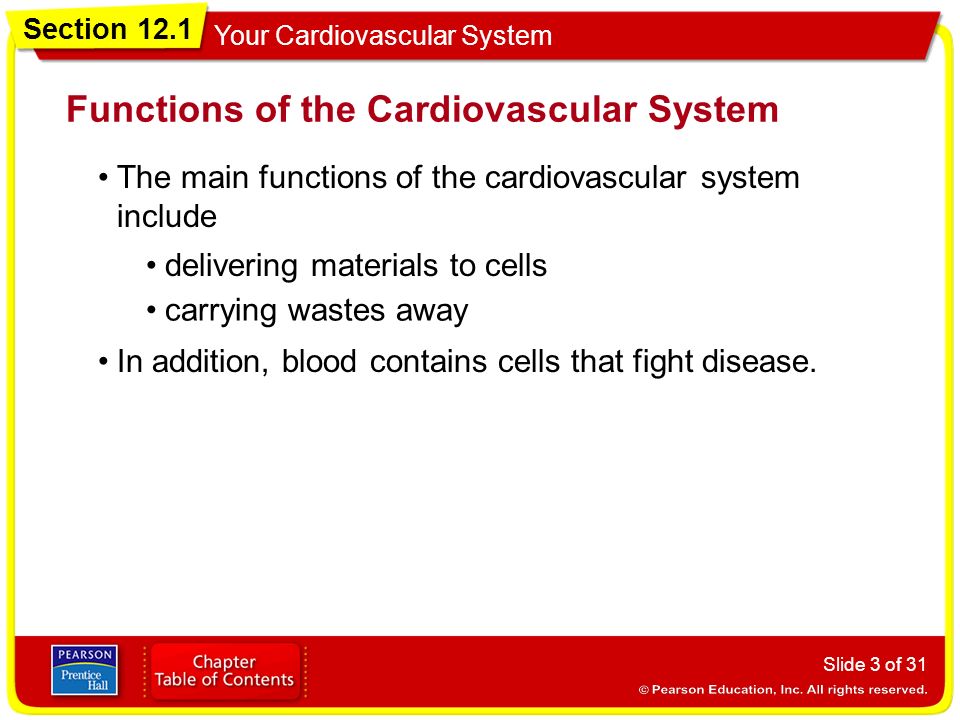Functions of the Cardiovascular System