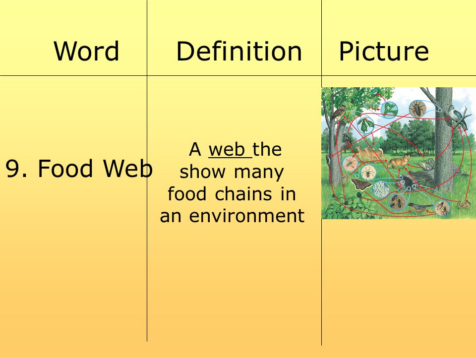 Warm Up What Is An Example Of A Community Of Greensboro Humans Ppt Video Online Download