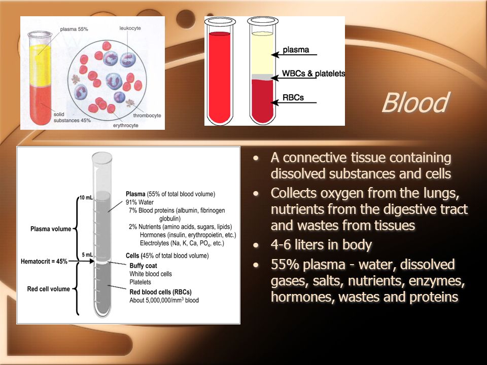 Blood A connective tissue containing dissolved substances and cells