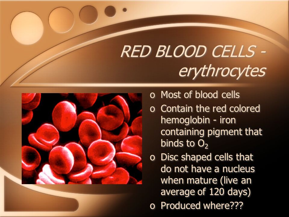 RED BLOOD CELLS - erythrocytes