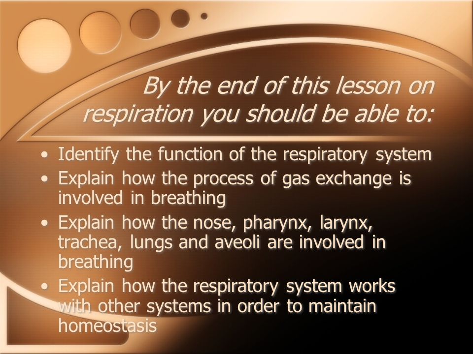 By the end of this lesson on respiration you should be able to: