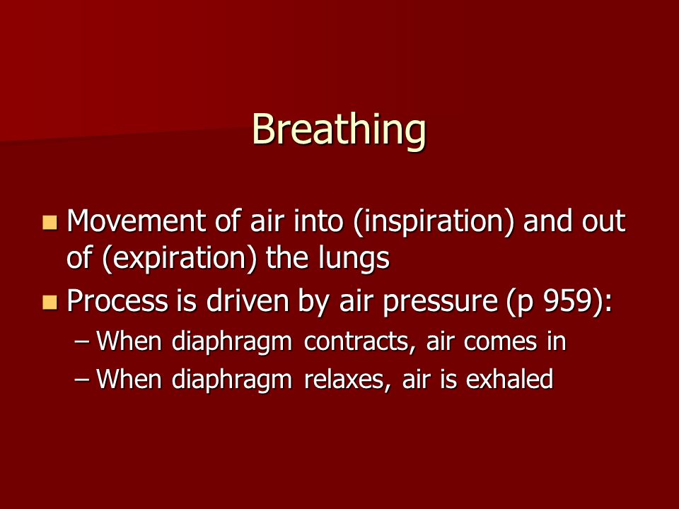 Breathing Movement of air into (inspiration) and out of (expiration) the lungs. Process is driven by air pressure (p 959):