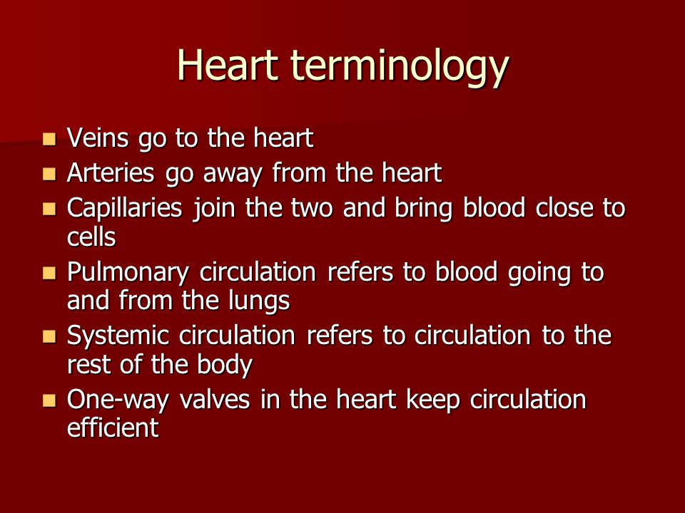 Heart terminology Veins go to the heart