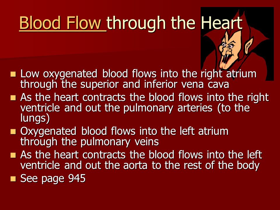 Blood Flow through the Heart