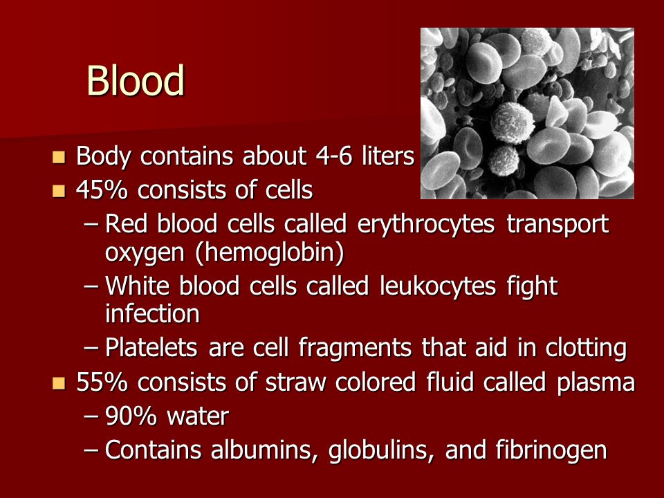 Blood Body contains about 4-6 liters 45% consists of cells