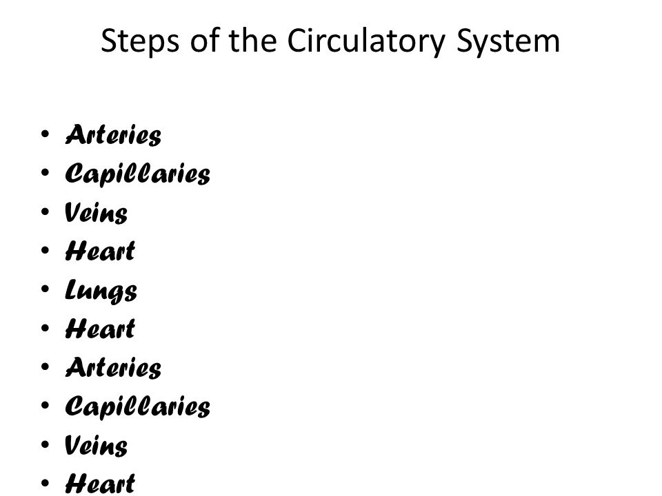 Steps of the Circulatory System