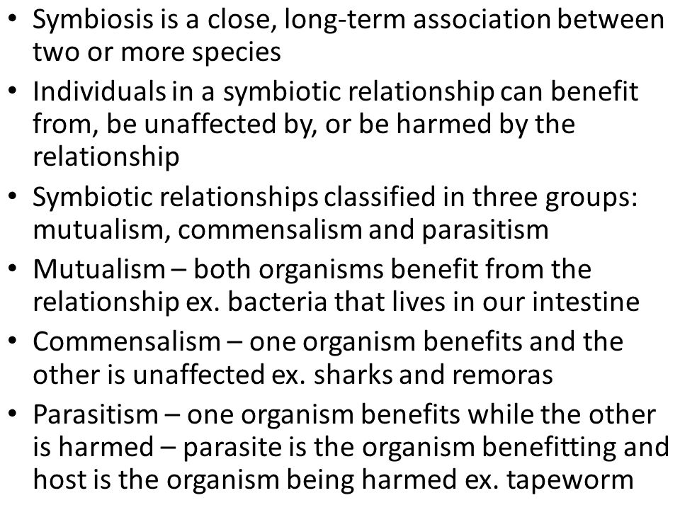 Symbiosis is a close, long-term association between two or more species