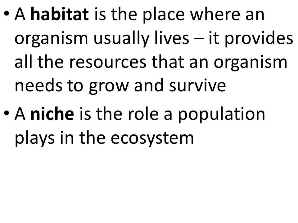 A habitat is the place where an organism usually lives – it provides all the resources that an organism needs to grow and survive