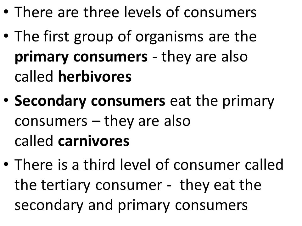 There are three levels of consumers