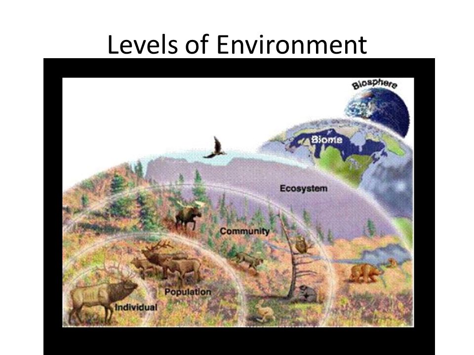 Levels of Environment