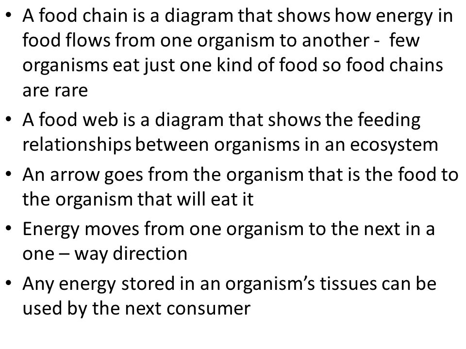 A food chain is a diagram that shows how energy in food flows from one organism to another - few organisms eat just one kind of food so food chains are rare