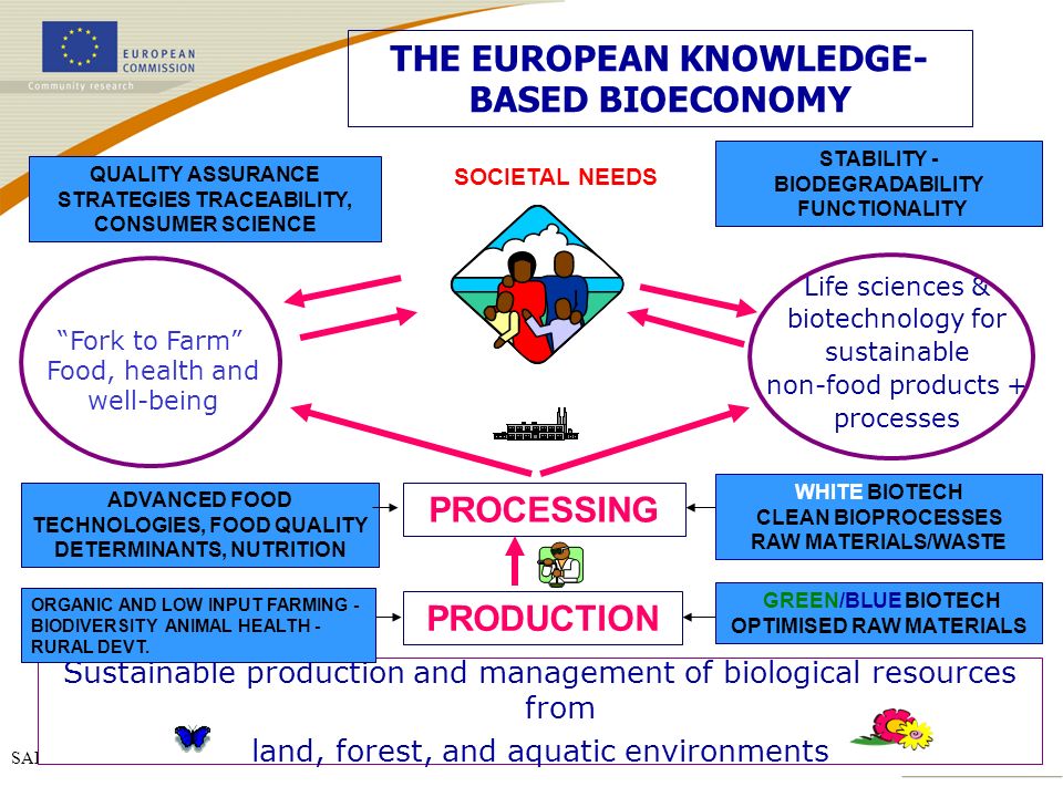 THE EUROPEAN KNOWLEDGE- BASED BIOECONOMY