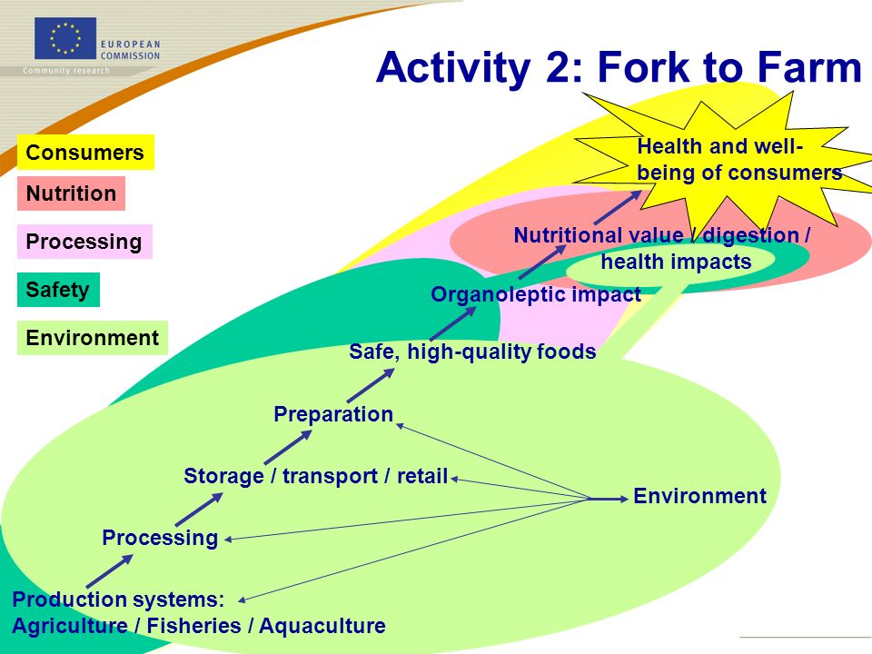 Activity 2: Fork to Farm Health and well- Consumers being of consumers