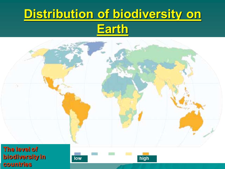 Distribution of biodiversity on Earth