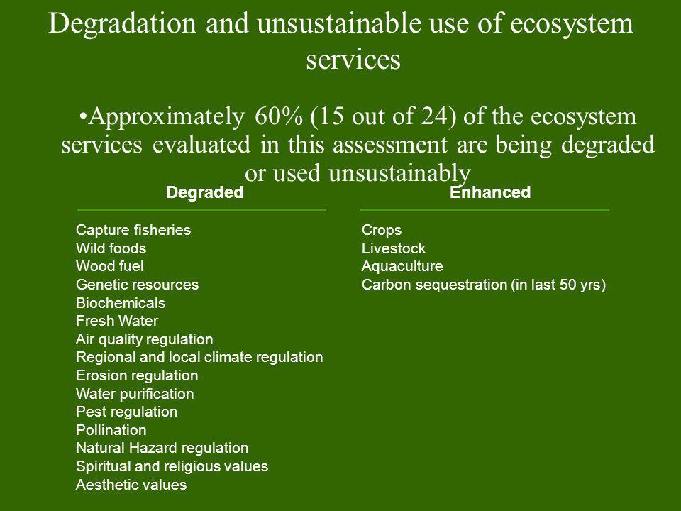 Degradation and unsustainable use of ecosystem services
