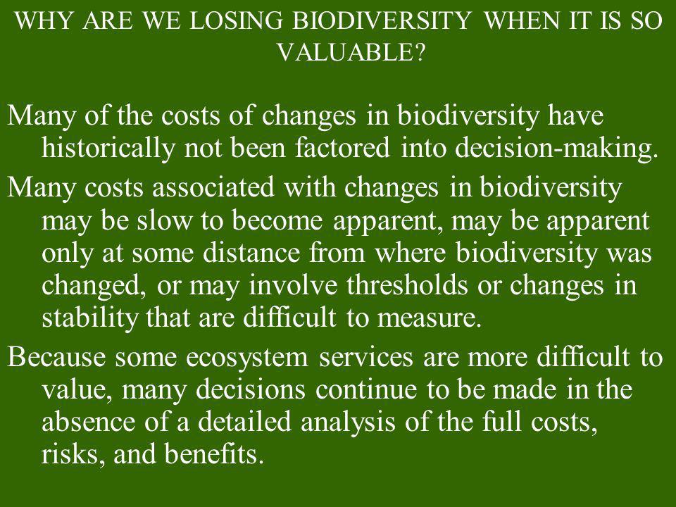 WHY ARE WE LOSING BIODIVERSITY WHEN IT IS SO VALUABLE