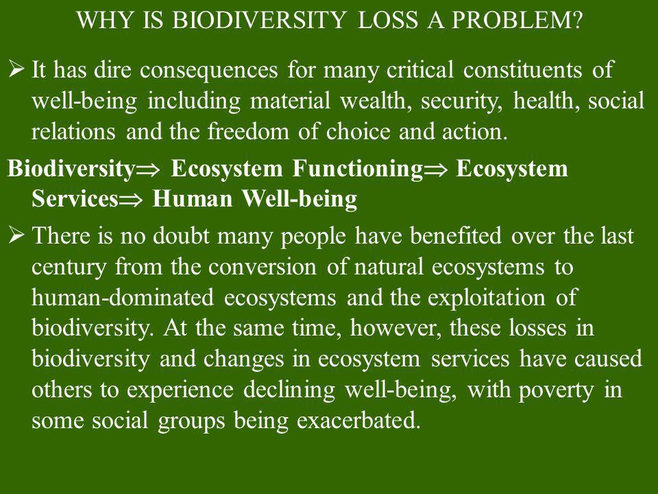 WHY IS BIODIVERSITY LOSS A PROBLEM