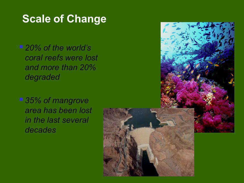 Scale of Change 20% of the world’s coral reefs were lost and more than 20% degraded. 35% of mangrove area has been lost in the last several decades.