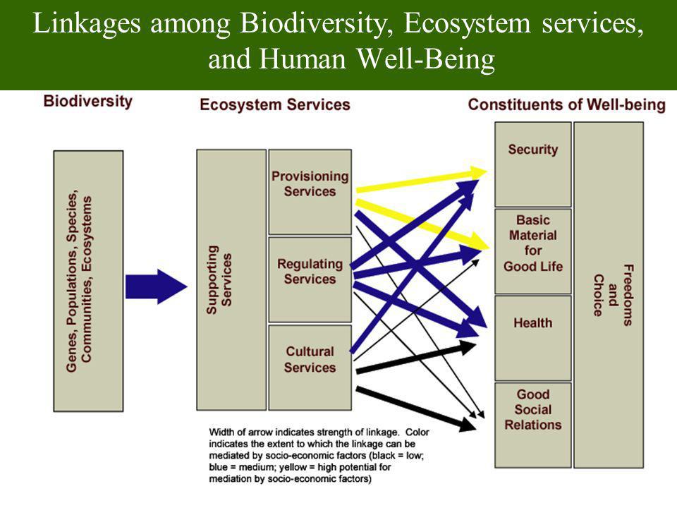 Linkages among Biodiversity, Ecosystem services, and Human Well-Being