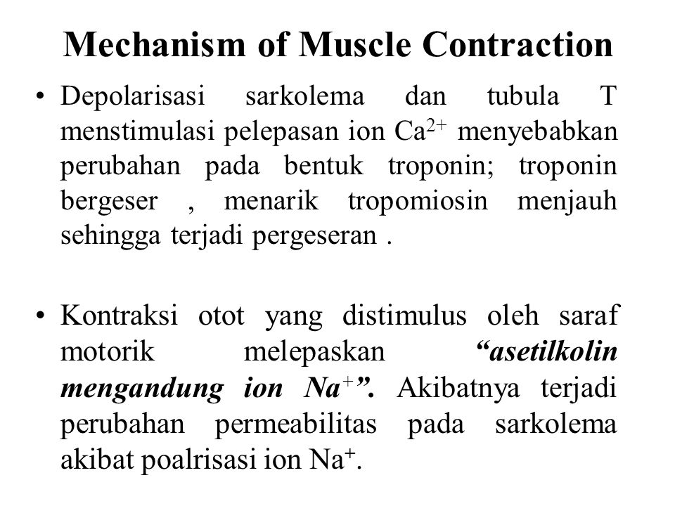 Structure Function And Diseases Ppt Video Online Download