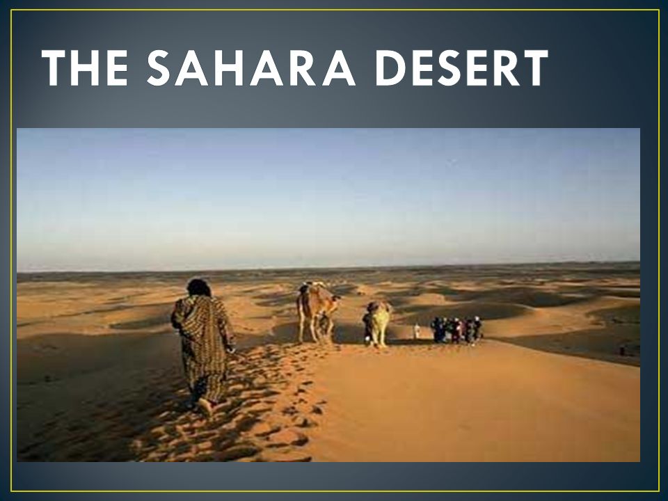 THE SAHARA DESERT