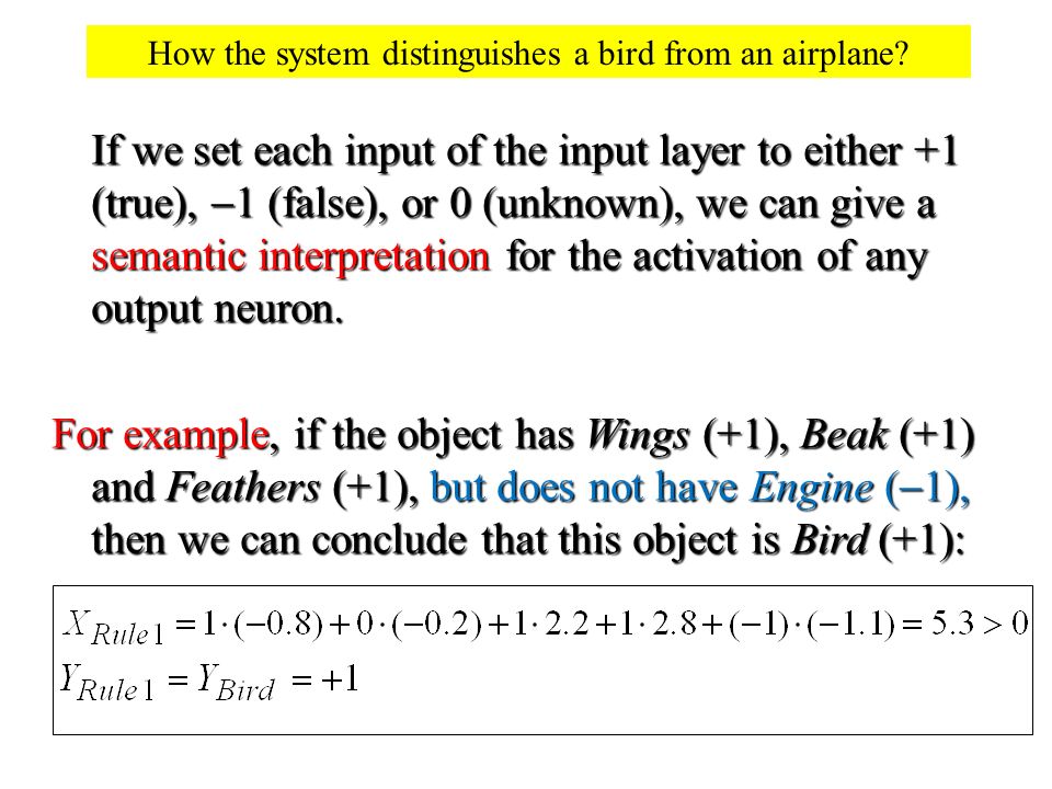 How the system distinguishes a bird from an airplane