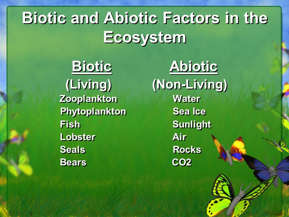 Biotic and Abiotic Factors in the Ecosystem.