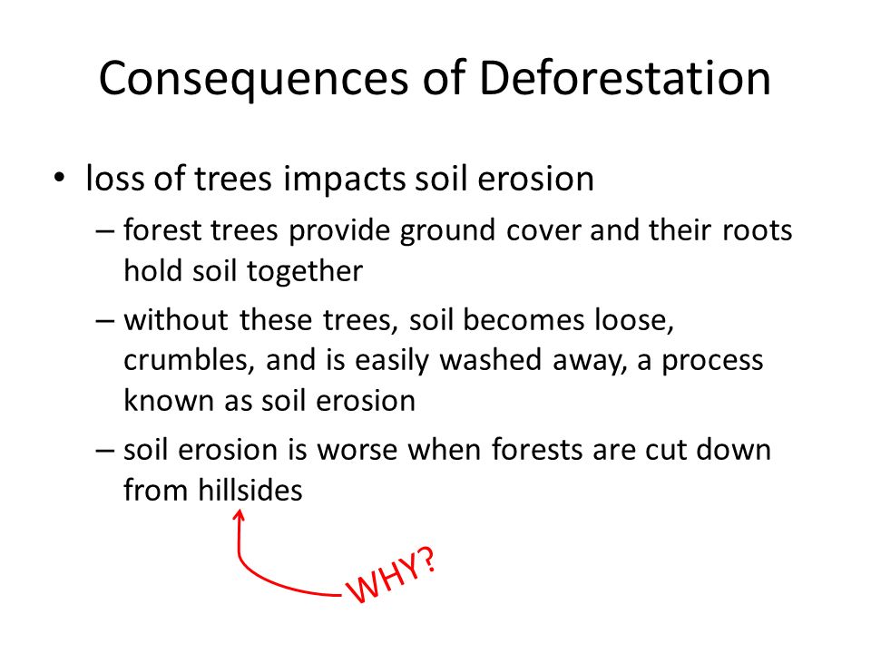 Consequences of Deforestation