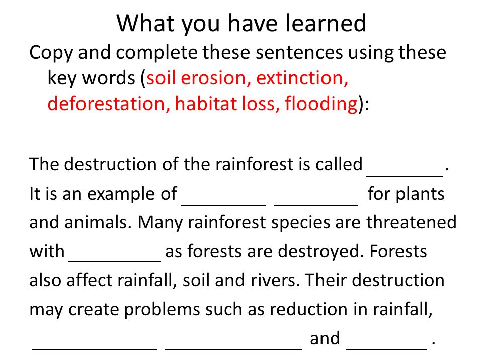 What you have learned Copy and complete these sentences using these key words (soil erosion, extinction, deforestation, habitat loss, flooding):