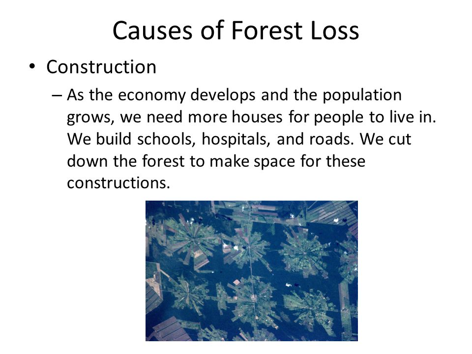 Causes of Forest Loss Construction