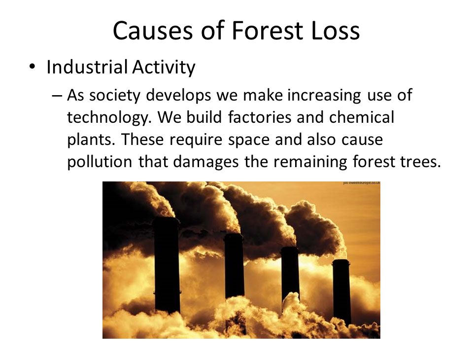 Causes of Forest Loss Industrial Activity