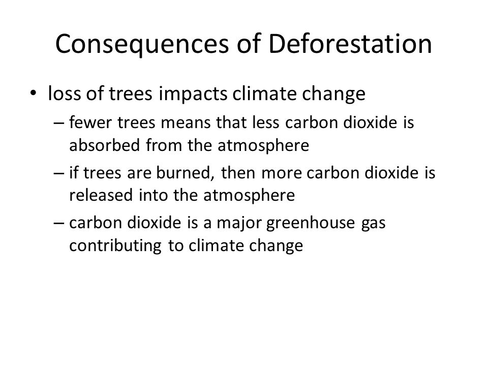 Consequences of Deforestation