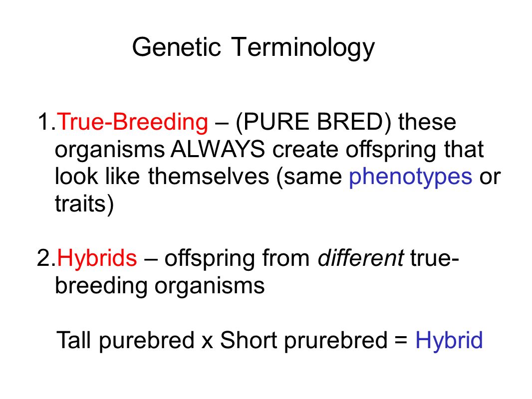 Purebred Definition Genetics self-pollination-cross-pollination-biology-notes-for-igcse-2014