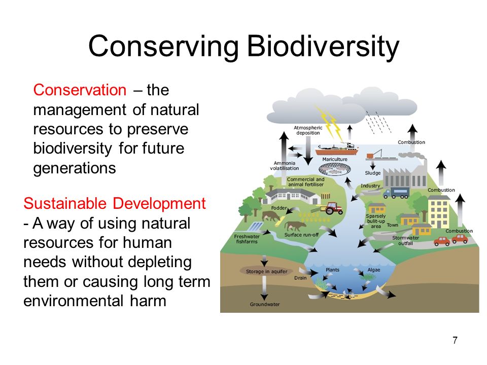Natural resource use. Biodiversity Biodiversity Conservation. On Conservation of resources. Depletion of natural resources. Natural resource Preservation.