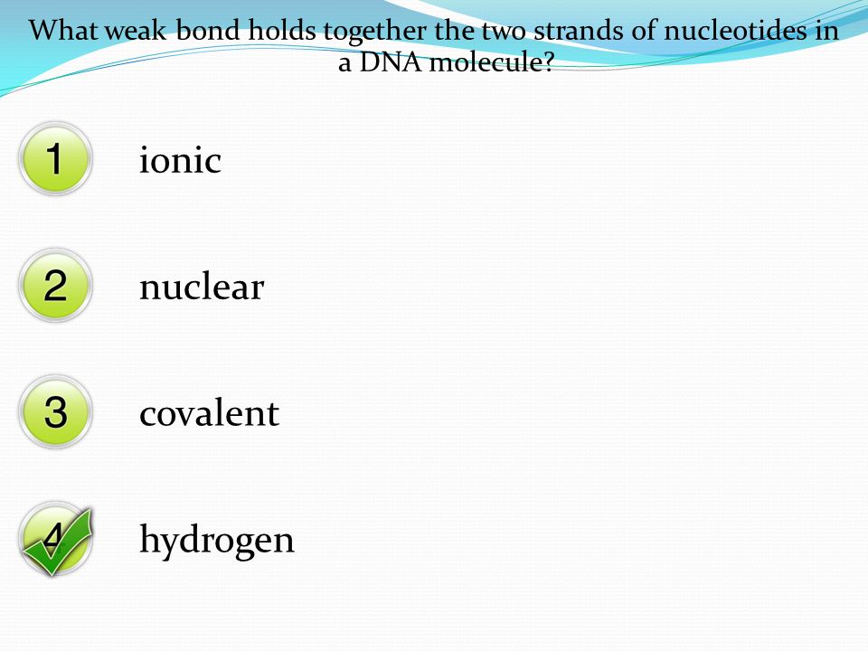 ionic nuclear covalent hydrogen